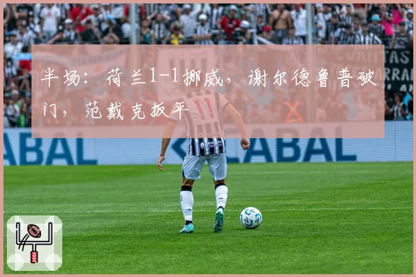 半场：荷兰1-1挪威，谢尔德鲁普破门，范戴克扳平