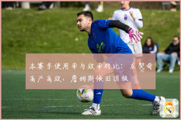 本赛季使用率与效率对比：东契奇高产高效，詹姆斯依旧顶级