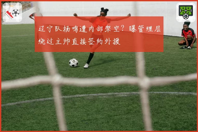辽宁队杨鸣遭内部架空？曝管理层绕过主帅直接签约外援
