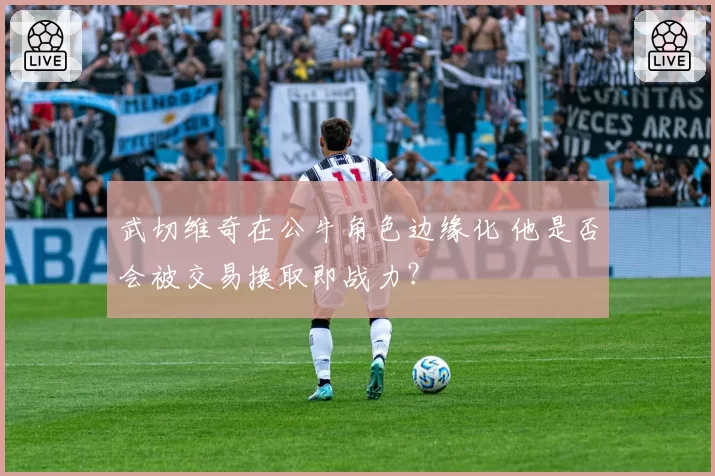 武切维奇在公牛角色边缘化 他是否会被交易换取即战力?